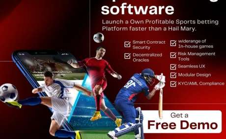 Win the Market Race with a Powerful Sports Betting Script for Fast Deployment