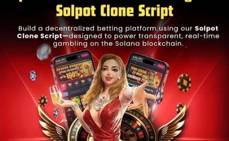 Build a Solana-Based Betting Platform at Minimal Cost with Solpot Clone Software