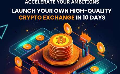 Build Your Best Cryptocurrency Exchange Software at Low Cost