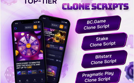 Ready-Made Blockchain Casino Game Clone Scripts for Quick Entrepreneurial Launch