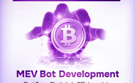 Maximize DeFi Returns Through Innovative MEV Bot Development Strategies