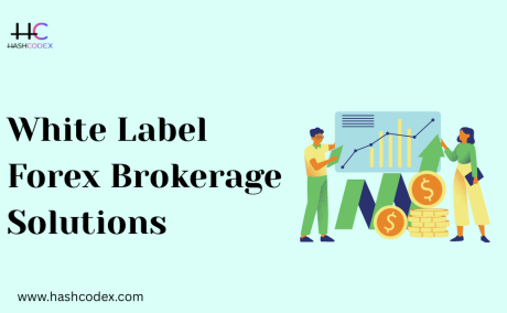 Advanced White Label Forex Brokerage Built by hashcodex