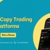 Professional Crypto Copy Trading Platforms for Entrepreneurs