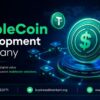 Launch Stable Digital Assets with a StableCoin Development Company