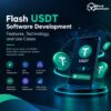 Flash USDT Software Development: Features, Technology, and Use Cases
