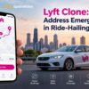 Lyft Clone: Address Emerging Gaps in Ride-Hailing Demand