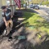 Better Watering Solutions for Beautiful Kissimmee Landscapes